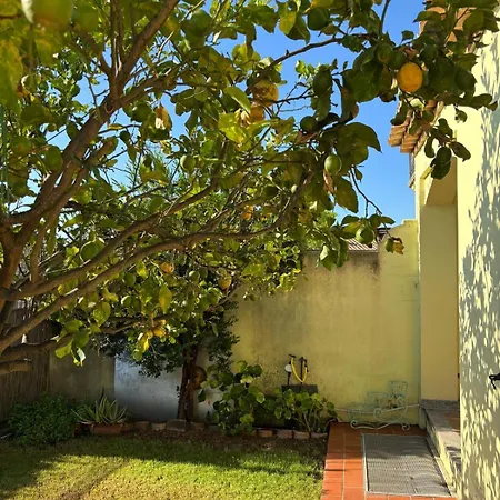 Apartment Brezza Marina *